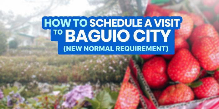 2022 How to SCHEDULE A VISIT via BAGUIO VISITA + Step-by-Step Online Guide